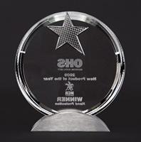 newbb电子平台安全 2009 OHS Award